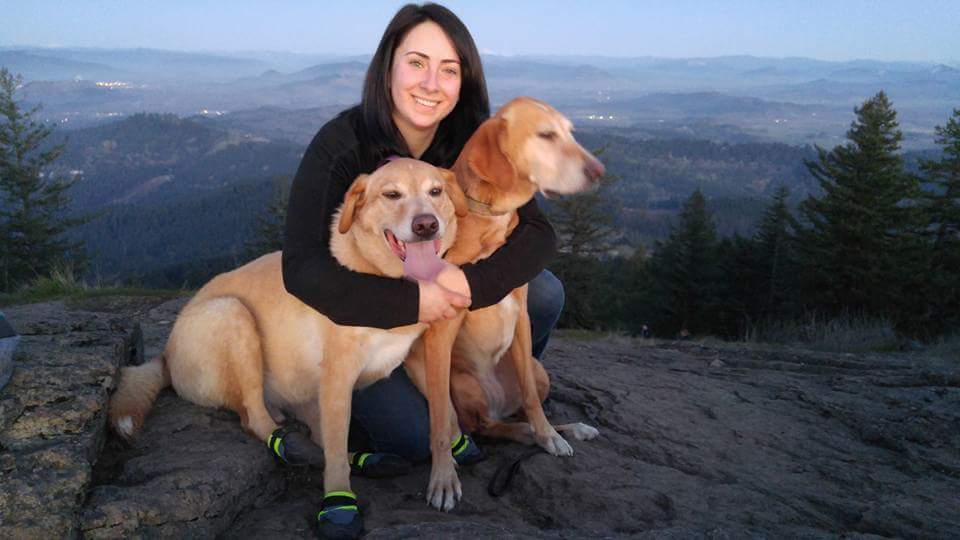 Doggie Doos and Don'ts