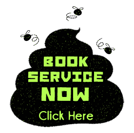 Book Service Now